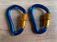 Karabiner blau 12cm 16kN Twist Lock NEU Bayern - Weißenohe Vorschau