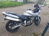 Honda CB 600 F Hornet Duisburg - Homberg/Ruhrort/Baerl Vorschau