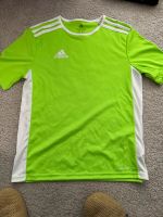 Adidas Sportshirt 164 ❤️ 13-14 Jahre grün Berlin - Lichterfelde Vorschau