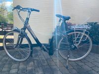 E- Bike Gazelle Arroyo C8 gebraucht Niedersachsen - Neustadt am Rübenberge Vorschau