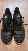 Adidas predator 42 Rheinland-Pfalz - Mainz Vorschau