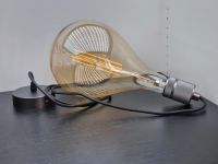 LED E27 Edison 8W Vintage 2700k Filament 16cm Globe 140cm Nordrhein-Westfalen - Euskirchen Vorschau