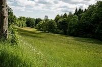 Wiese Grünland Weide gesucht Weideland Niedersachsen - Rieste Vorschau