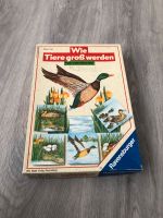 Ravensburger Wie Tiere groß werden Gesellschaftsspiel Nordrhein-Westfalen - Dorsten Vorschau