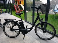 Relaigh Pedelec E-Bike schwarz matt XS 46er Rahmen Nordrhein-Westfalen - Büren Vorschau