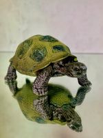 Schleich Schildkröte Rheinland-Pfalz - Billigheim-Ingenheim Vorschau