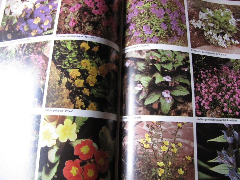 Gartenbücher > 2 Stck. Gartenblumen + Gartenratgeber in Zschadraß