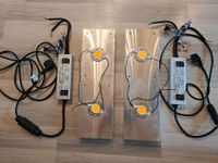 Pro-Emit|DIY-KIT|CREE CXB 3590|LED Dimmbar|Vollspektrum Grow Berlin - Reinickendorf Vorschau