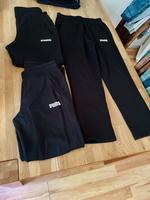 Jogginghosen Puma Größe M Schleswig-Holstein - Glücksburg Vorschau