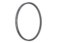 Suche Porte Rathe Felge 29" 30,6 28-Loch UD-Carbon 250g Sachsen - Zwickau Vorschau