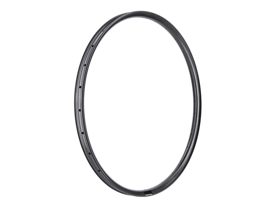 Suche Porte Rathe Felge 29" 30,6 28-Loch UD-Carbon 250g in Zwickau