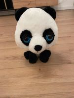 Panda mit blauen Augen Hessen - Wiesbaden Vorschau