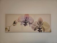 Ikea Bild Leinwand Blumen Nordrhein-Westfalen - Neuss Vorschau