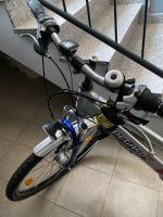 26 Zoll Fahrrad Pegasus blau/silber Saarland - Riegelsberg Vorschau