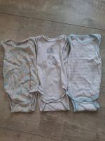 Baby Tank-Body Trio Nordrhein-Westfalen - Holzwickede Vorschau