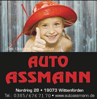 KFZ Mechaniker/in Mechatroniker/in bei Schwerin gesucht. Schwerin - Lankow Vorschau