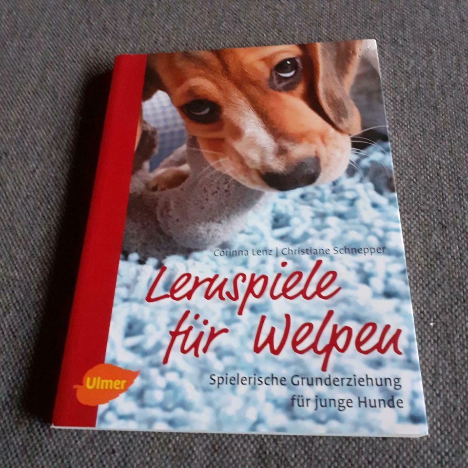 ❤ Lernspiele f. Welpe, Grunderziehung , Corinna Lenz u. Schneppe in Überherrn