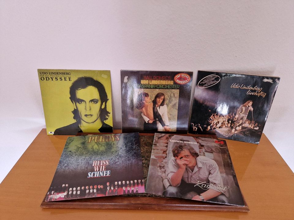 Schallplatten LP's und Singles in Oberursel (Taunus)