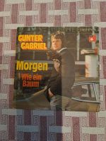 REDUZIERT: Single Vinyl Gunter Gabriel Hessen - Naumburg  Vorschau