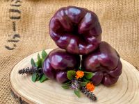 Feinschmecker Paprika Purple Beauty lila-dunkelrot knackig saftig Bayern - Waigolshausen Vorschau