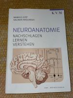 Neuroanatomie Kipp Bayern - Pfronten Vorschau