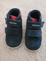 Lauflernschuhe Schuhe von Geox Respira Gr. 25 echt Leder Nordrhein-Westfalen - Alsdorf Vorschau