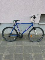 Fahrrad Giant escaper 26 Zoll Bayern - Stein Vorschau