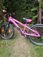 Kinder Mountainbike 20 Zoll mit Gangschaltung Gangschaltung Baden-Württemberg - Heiningen Vorschau