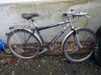 Winora Fahrrad 28er, für Männer bis 1,70m Leipzig - Schleußig Vorschau