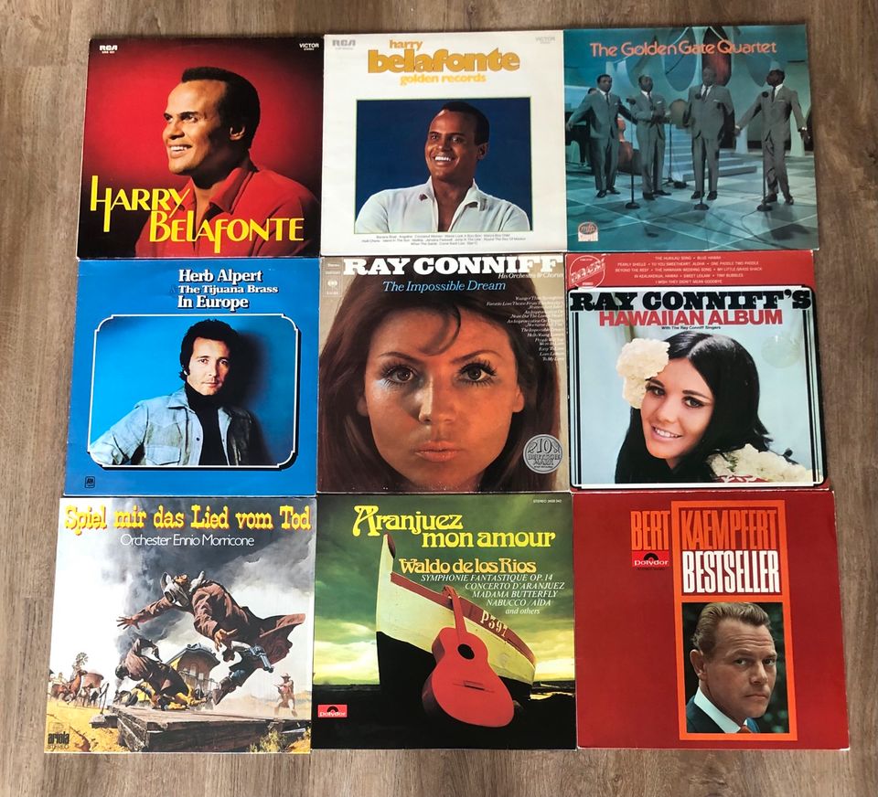 Tolle Schallplattensammlung: Top-Hits, Max Gregor, James Last etc in Lahnstein