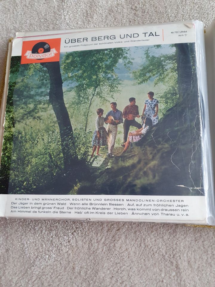 Schallplatten Vinyl Bayrisch Schlager Sammler in Maisach