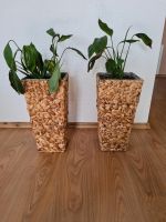 Zwei Blumentöpfe Nordrhein-Westfalen - Harsewinkel Vorschau