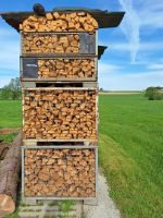 Brennholz Fichte Bayern - Tuntenhausen Vorschau