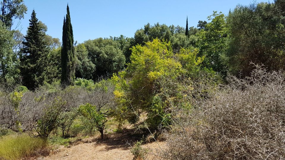 Wunderschöne Finca zu vermieten in Casares in den Bergen Spanien in Berlin