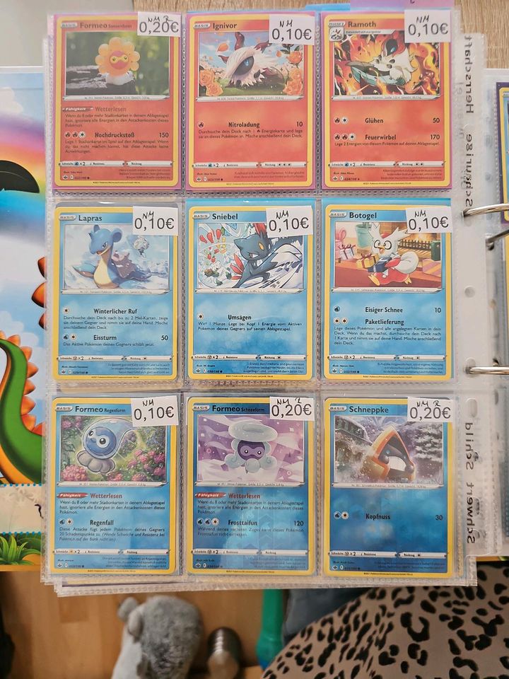 Pokemon Karten Sammlung 5 in Salzgitter