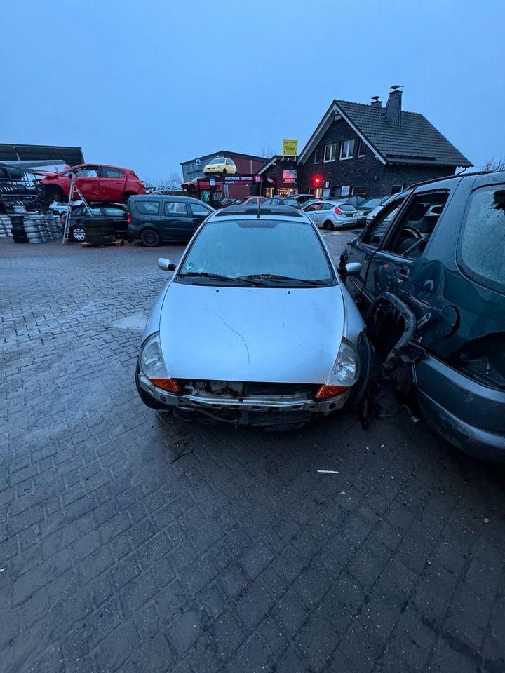 Ford Ka 1.3 L 44 KW Autoteile Ersatzteile Schlachtfest in Waldbröl