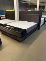 Boxspringbett 180x200cm Betten mit Samt Bezug Nordrhein-Westfalen - Herford Vorschau