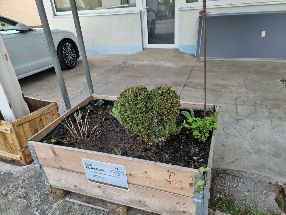 Hochbeet aus Holzaufsetzrahmen ohne Füllung in Brakel