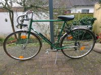 Rennrad Motobecane 28 Zoll Hessen - Altenstadt Vorschau