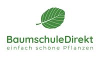 Laubhecken aus Hainbuche/Rotbuche, Liguster & Co Niedersachsen - Barsinghausen Vorschau