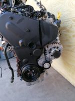Motor Komplett VW Skoda CUU CUUA 2.0 TDI 71.000km GARANTIE Brandenburg - Küstriner Vorland Vorschau