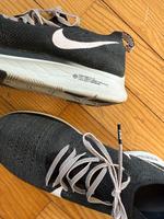 Nike Laufschuh Größe 40 Saarland - Sulzbach (Saar) Vorschau