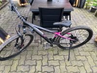 Damen Mountainbike Nordrhein-Westfalen - Nümbrecht Vorschau