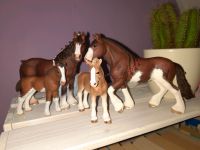 Schleich Clydesdale Familie Kreis Ostholstein - Ahrensbök Vorschau