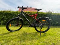 Bulls Mountainbike Niedersachsen - Hinte Vorschau