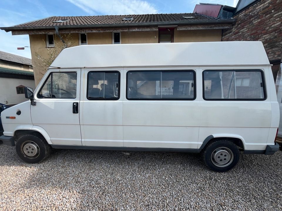 Fiat Ducato 280, H-Kennzeichen, TÜV frisch, wenig Km, TOP Zustand in Hennef (Sieg)