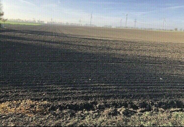Muttererde Mutterboden Bördeboden zu verschenken ( Anlieferung) in Salzwedel