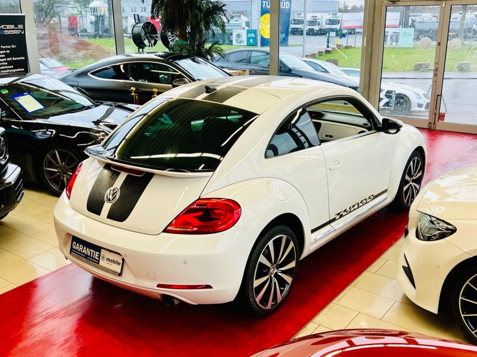 Volkswagen Beetle 2.0 TSI Sport|DSG|NAVI|LEDER|FENDER-SOUND in Essen