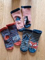 Set Stoppersocken Socken Waldtiere Topomini Nordrhein-Westfalen - Warendorf Vorschau