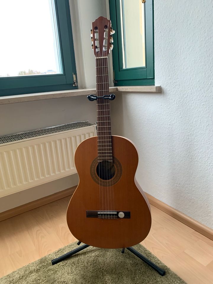 Gitarre, Höfner HZ23 in Chemnitz